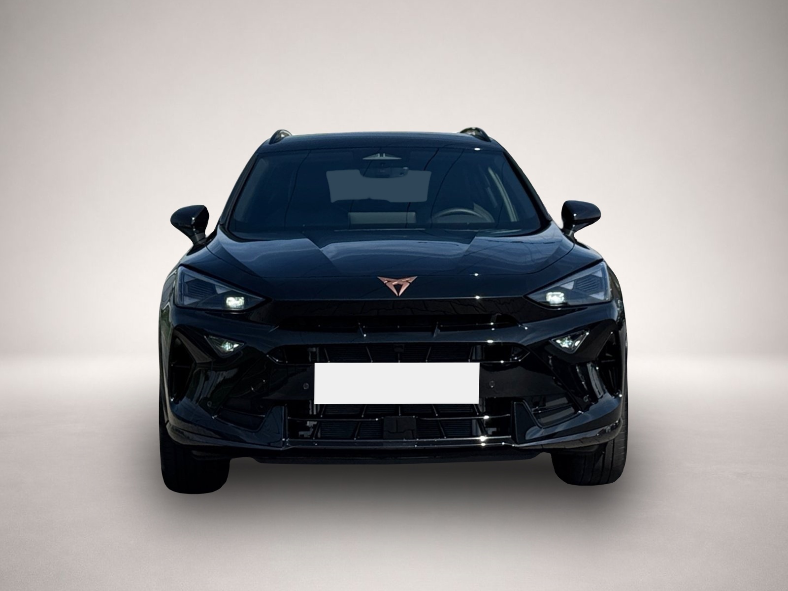 Bild 2 Cupra Formentor TDI DSG|5-J-GARANTIE|AHK|EDGE-P|19
