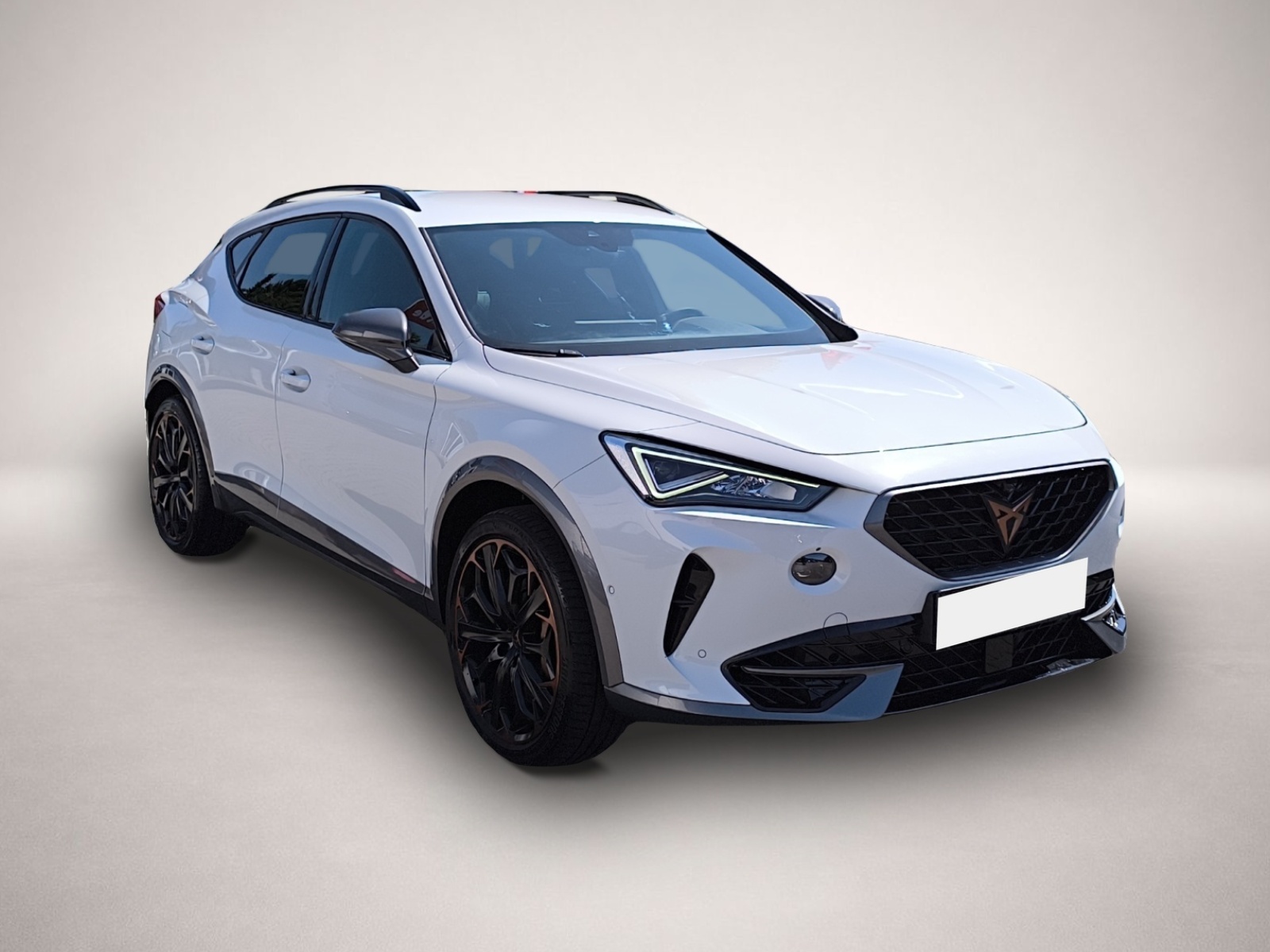 Bild 3 Cupra Formentor 2.0 TSI DSG 4Drive VZ LED NAVI AHK ACC