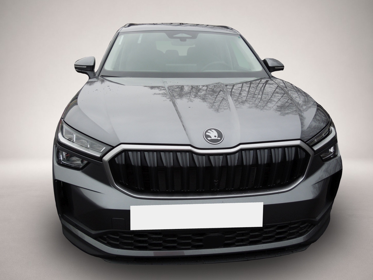 Fotografie 2 des Skoda Kodiaq 2.0TDI DSG Selection/LED/AHK/Navi/Kamera
