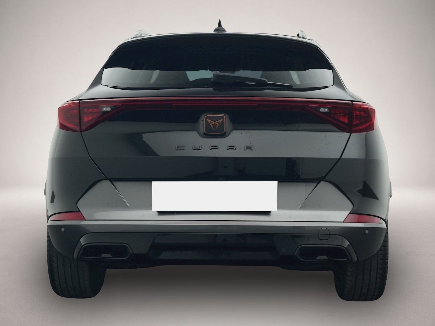 Fotografie 4 des Cupra Formentor 2.0 TDI DSG 4Dr. NAVI KAMERA BEATS SHZ