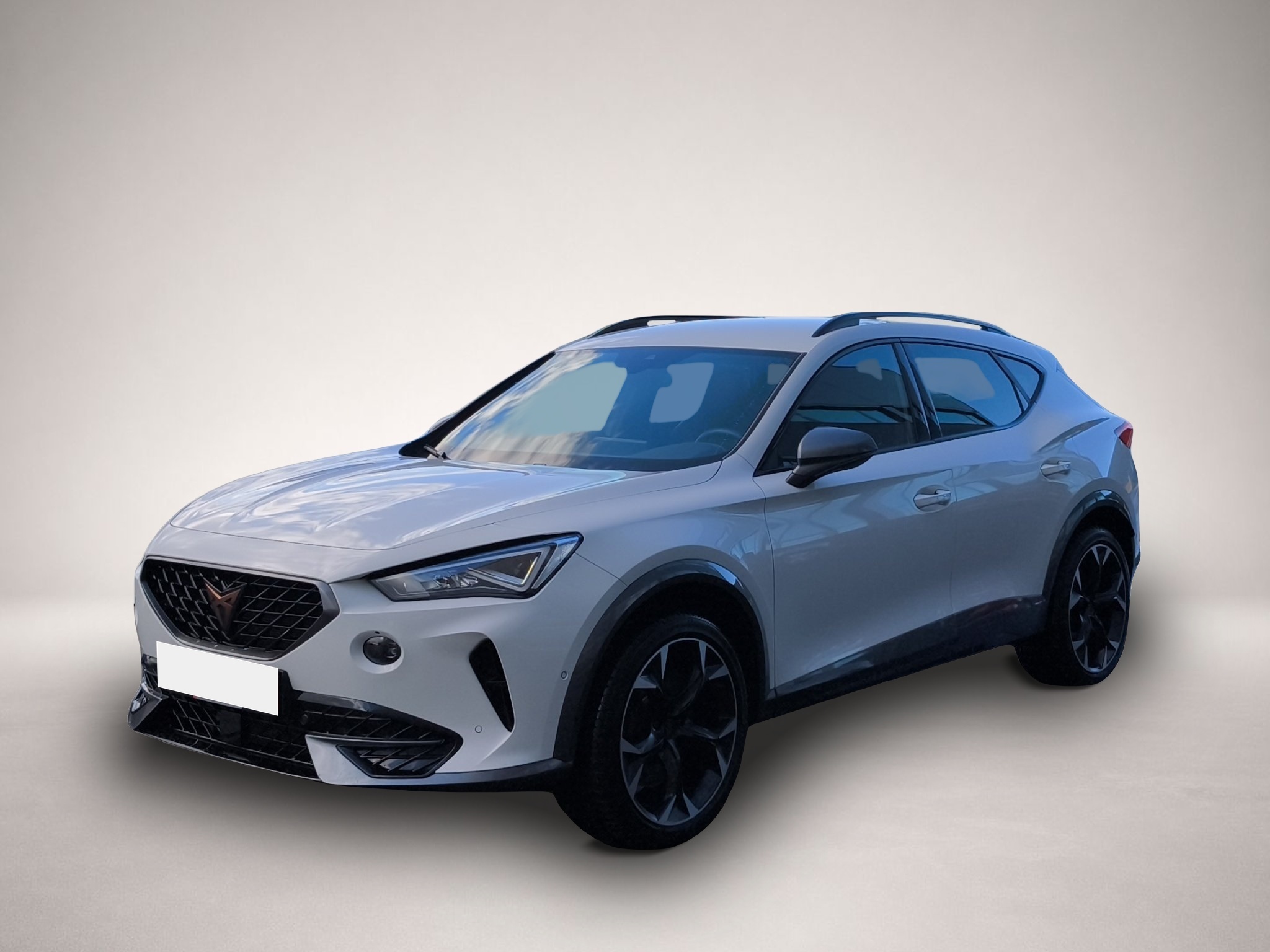 Fotografie Cupra Formentor 2.0 TSI DSG 4Drive VZ LED NAVI BEATS K