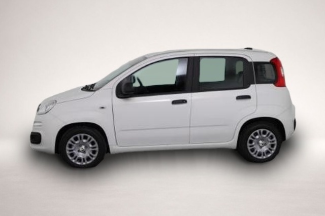 Bild 3 Fiat Panda Pandina Icon Panda (Pandina Icon) 1.0 Mild-Hybr.