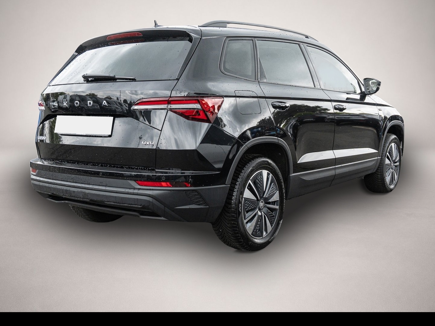 Fotografie 4 des Skoda Karoq 2.0 TDI DSG SelectionTour