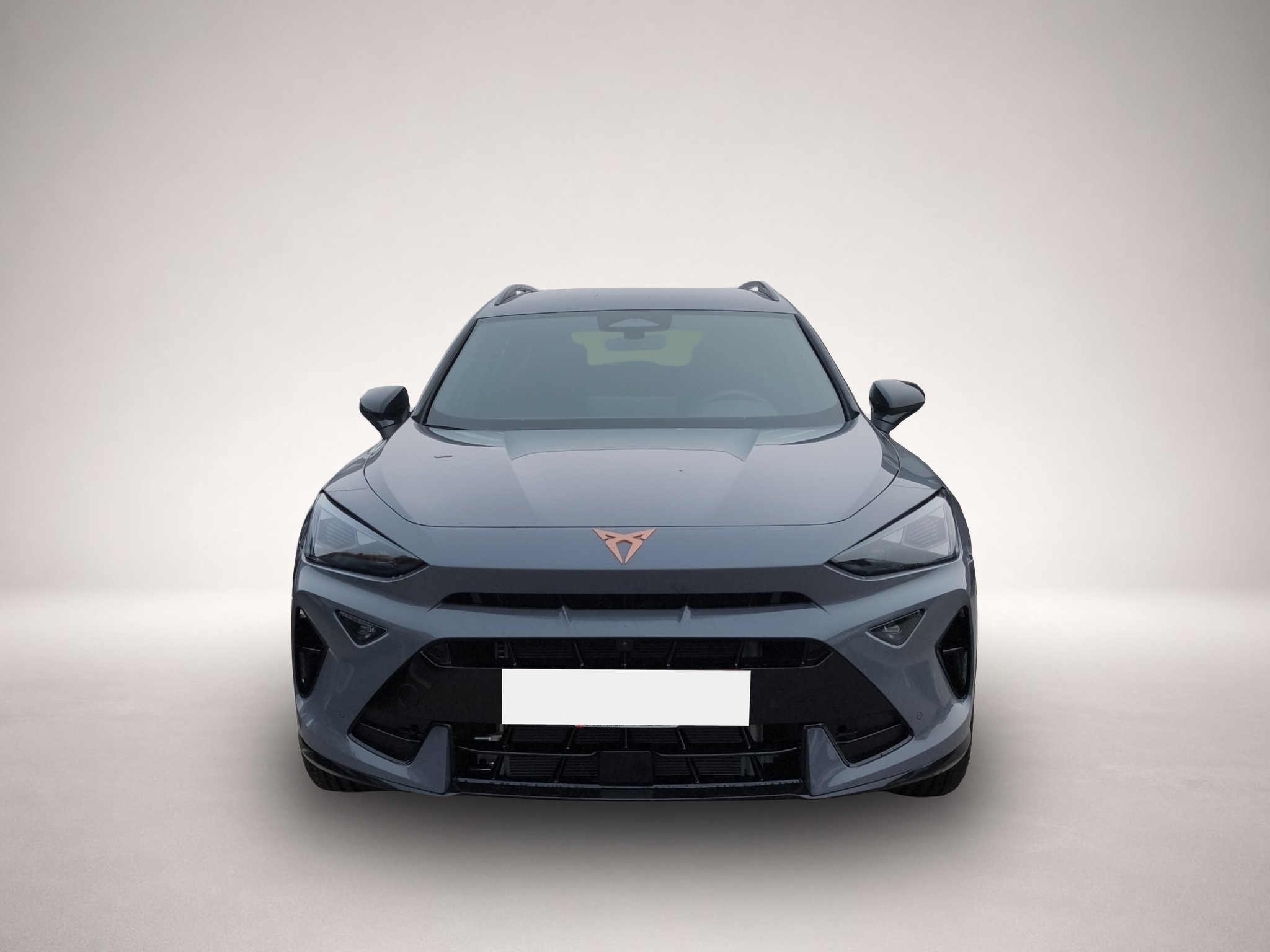 Bild 2 Cupra Formentor 2.0 TSI DSG LED NAVI SENNHEISER AHK 19