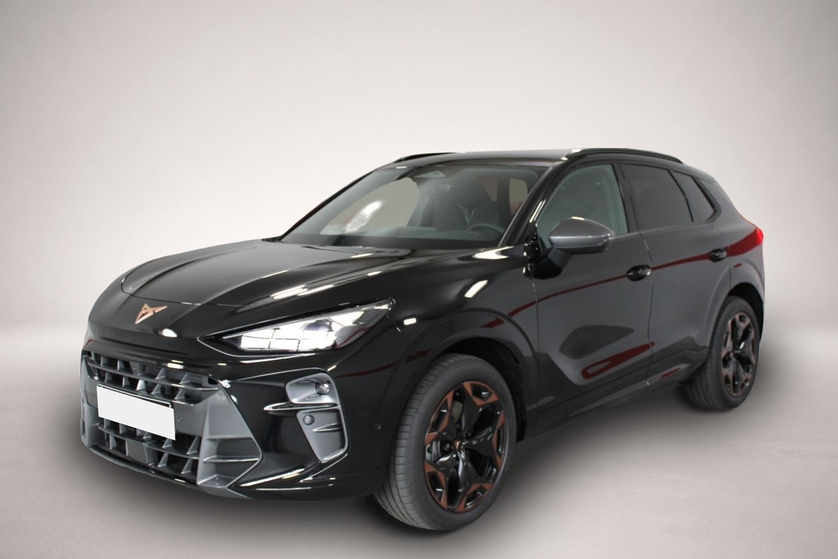 Fotografie Cupra Terramar 2.0 TSI 7-Gang DSG 4x4