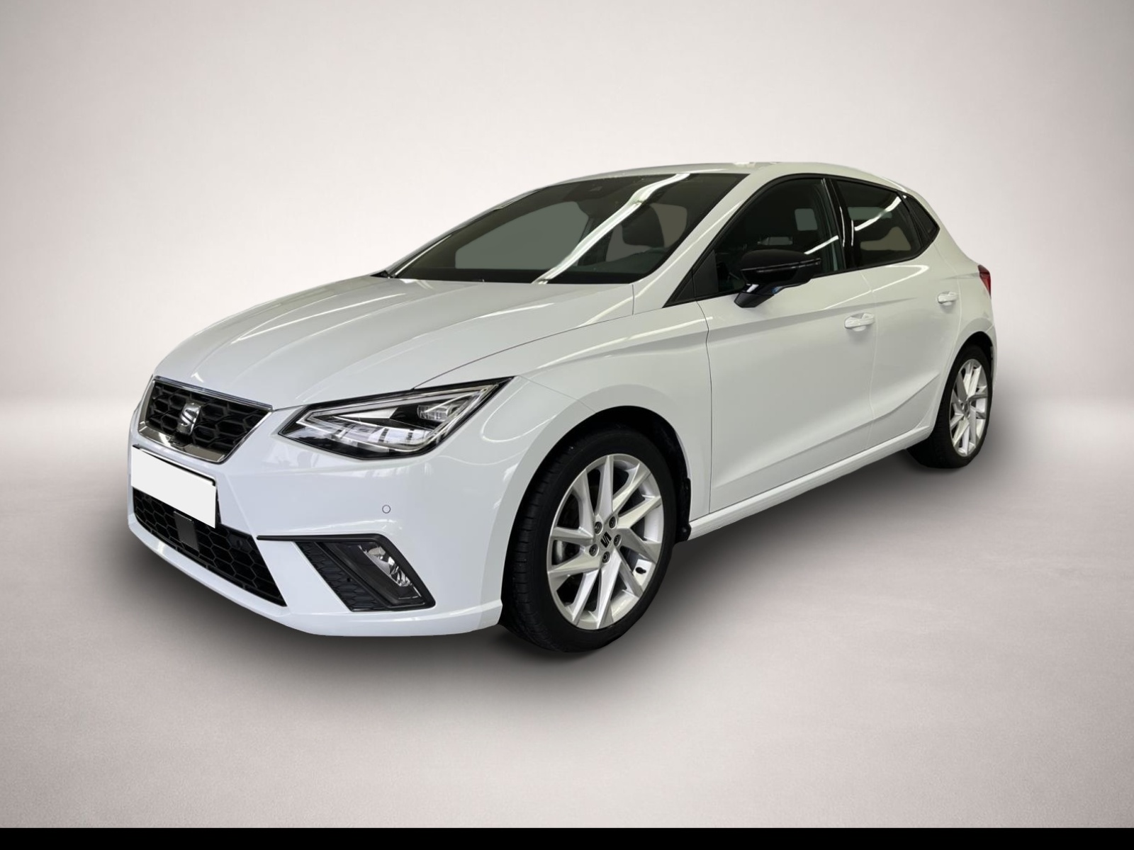 Ibiza Seat