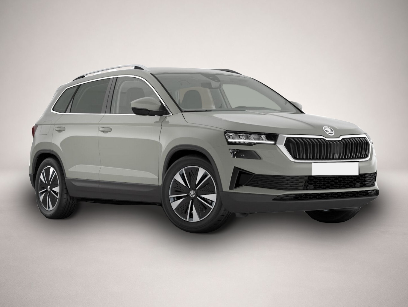 Bild Karoq Skoda
