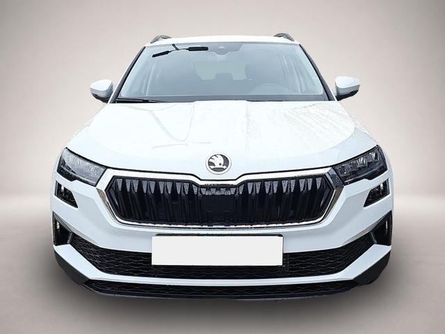 Bild Karoq Skoda