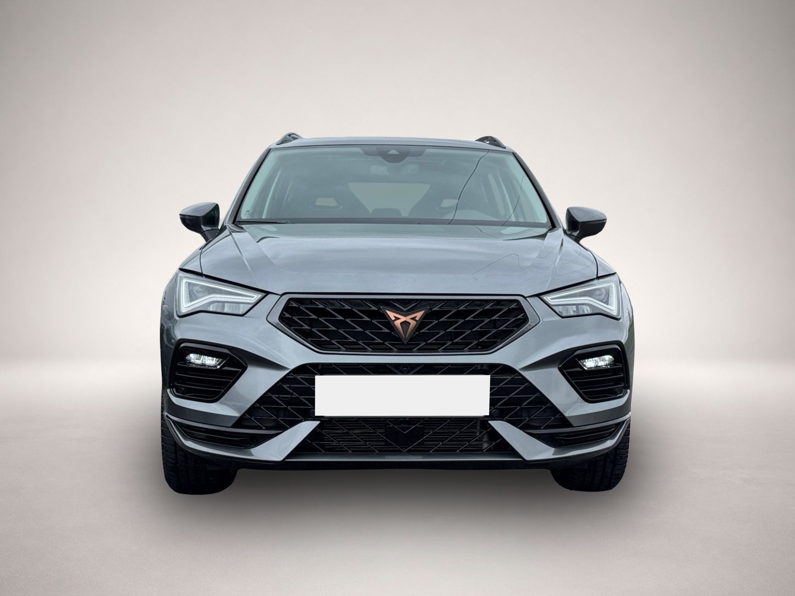 Fotografie des Cupra Ateca 4Drive TSI DSG|AHK|PANO|el.HECK|WINTER-PKT