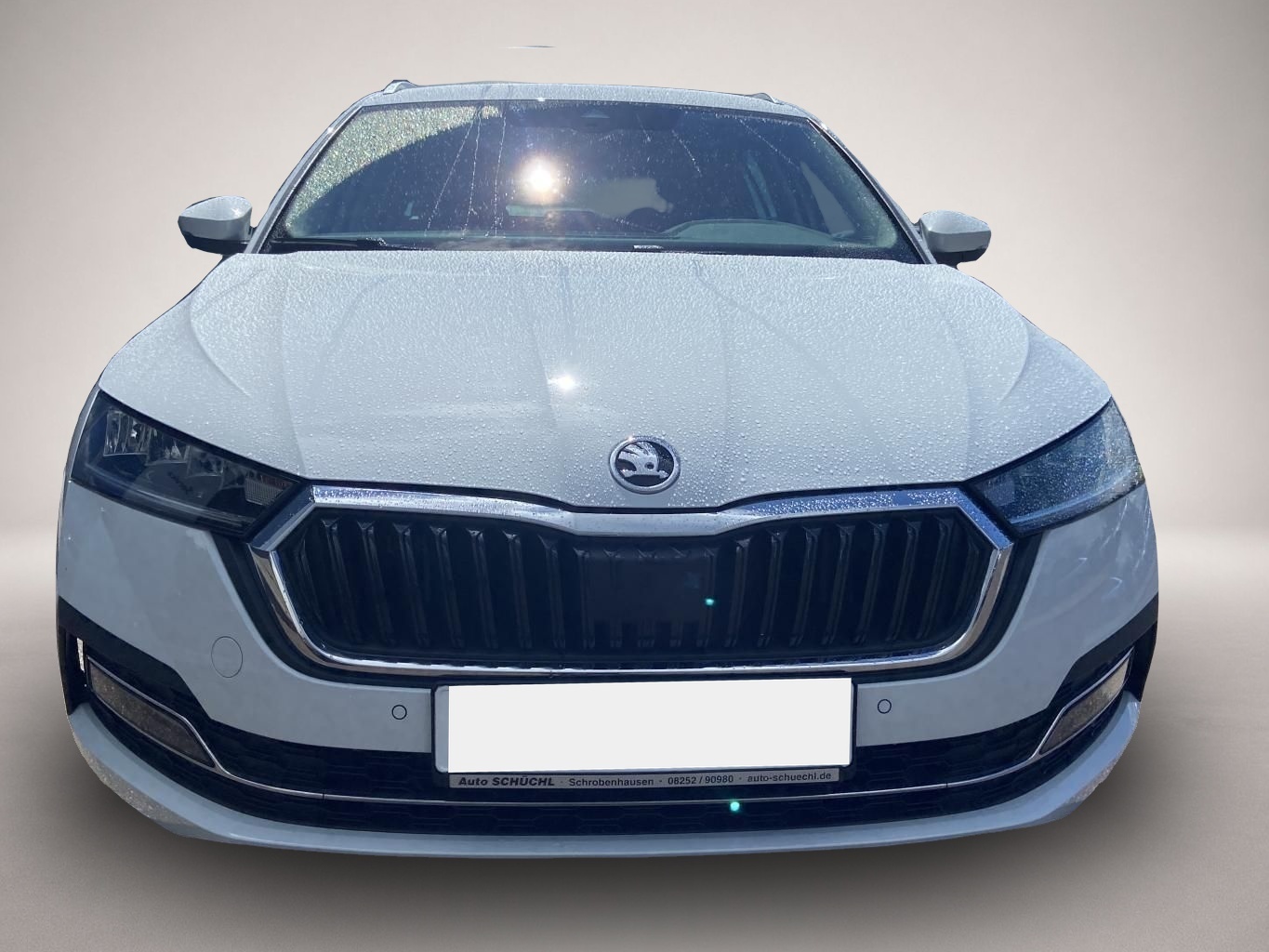 Bild 7 Skoda Octavia Combi 2.0 TDI DSG Style 4x4 SMART-LINK+E