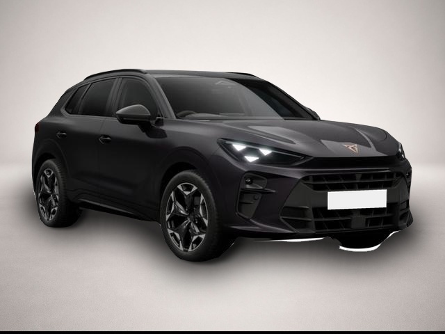 Bild Terramar Cupra