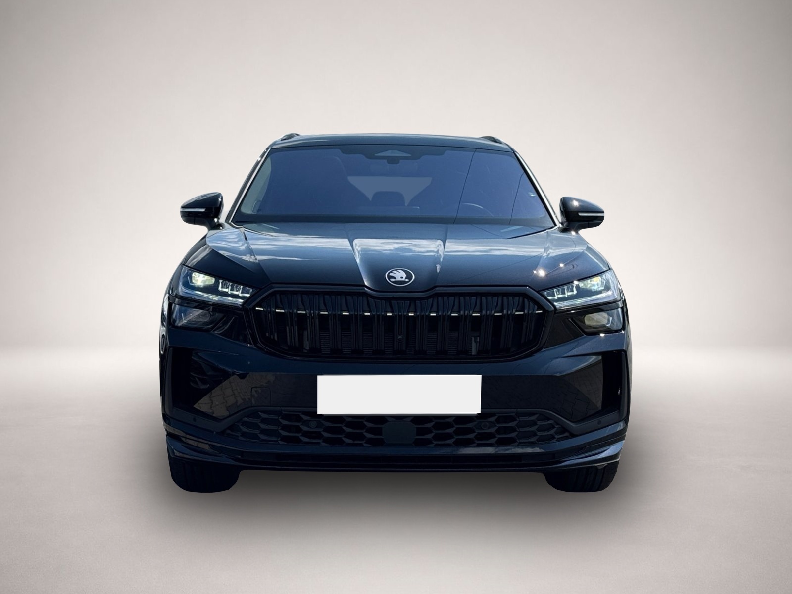 Bild 2 Skoda Kodiaq Sportline 4x4 TDI DSG|PANO|AHK|7-SITZE|1J