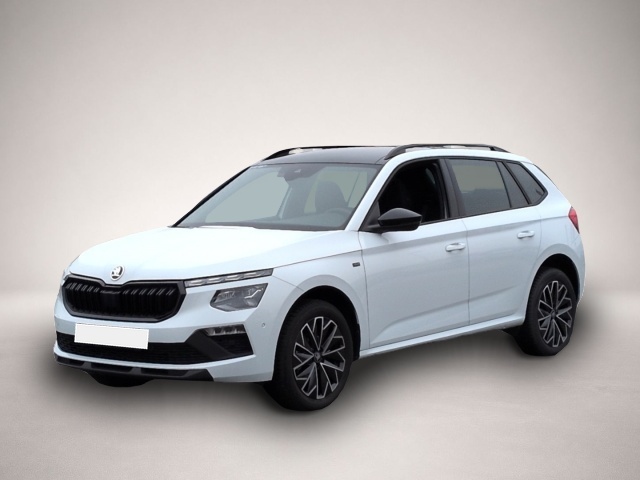 Fotografie Skoda Kamiq TOUR 1.5TSI*DSG Matrix-LED ACC Panodach