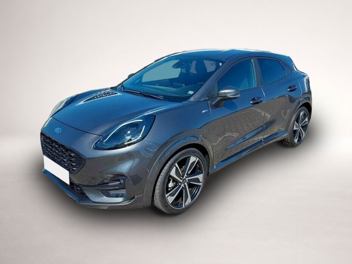 Bild Puma Ford