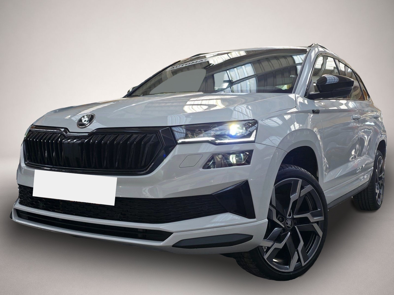 Bild Karoq Skoda