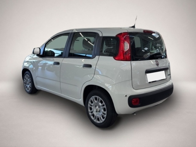 Bild 3 Fiat Panda Pandina 1.0 48 kW Icon Digitales Cockpit DAB Spu