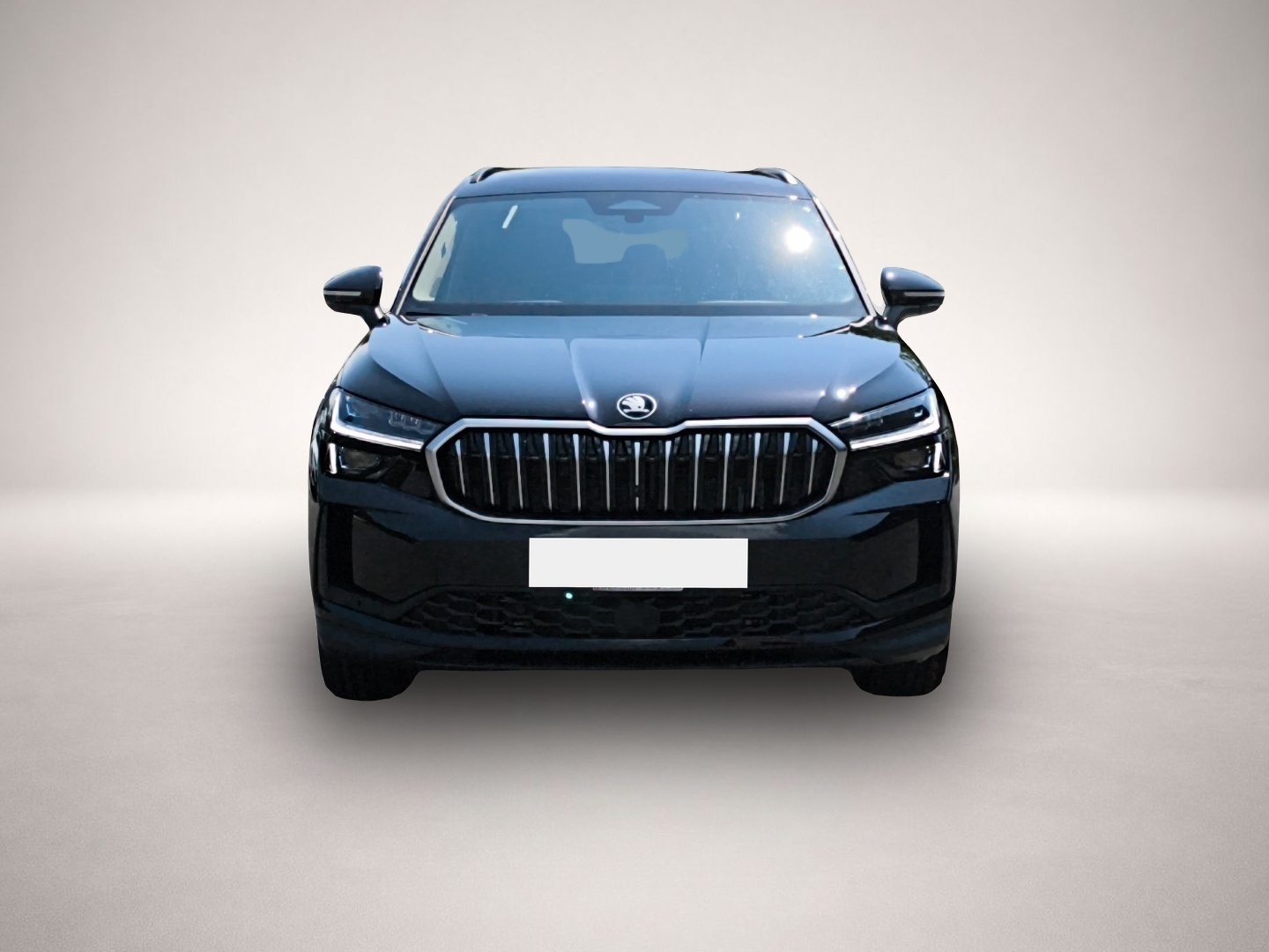 Bild 1 Skoda Kodiaq 2.0 TDI 4x4 DSG Selection AHK NAV RFK LED