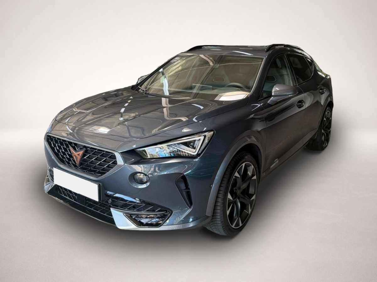 Fotografie 1 des Cupra Formentor VZ 2.0 TSI 4Drive LED Virtual ACC Beat