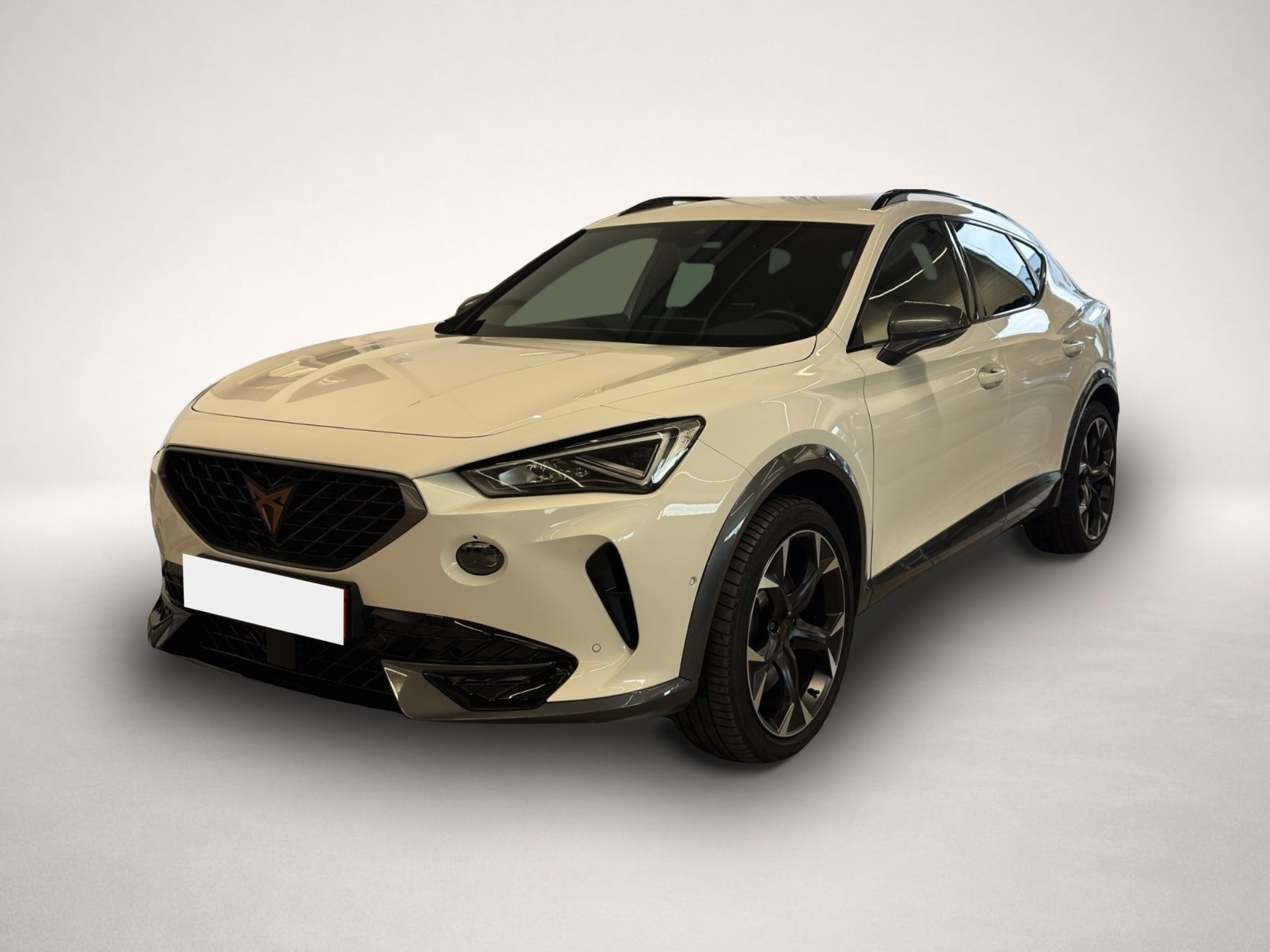 Fotografie Cupra Formentor 2.0 TSI DSG 4Drive VZ LED NAVI AHK ACC