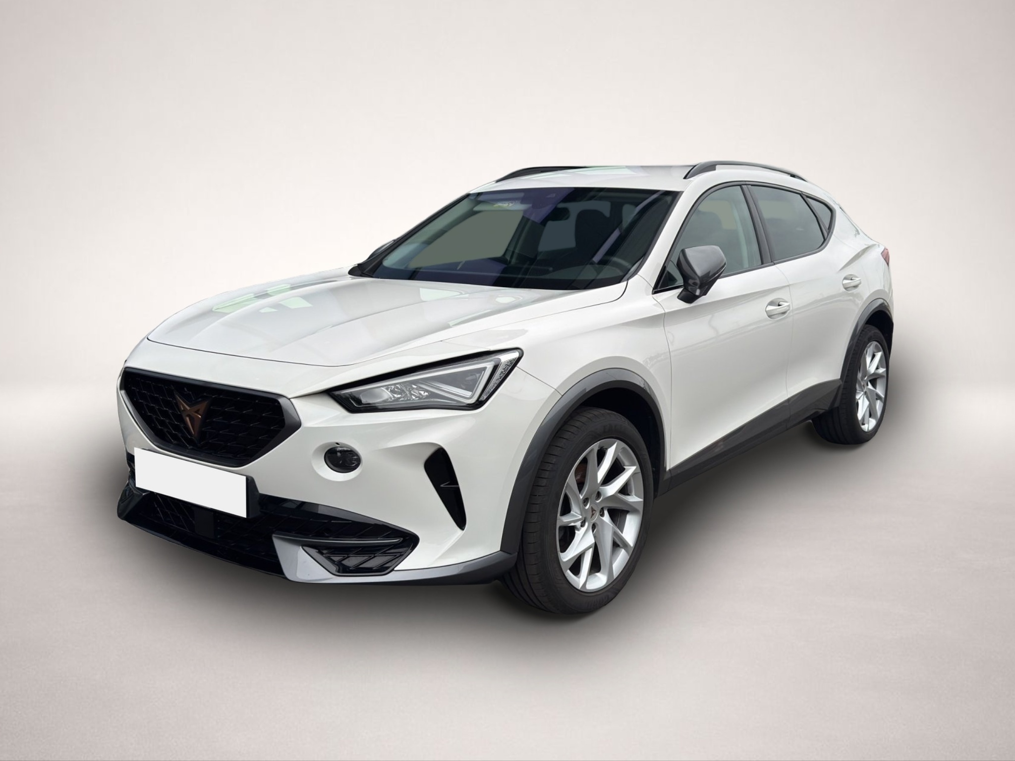 Fotografie Cupra Formentor 1.5 TSI LED FULL-LINK ACC KEYLESS KLIM