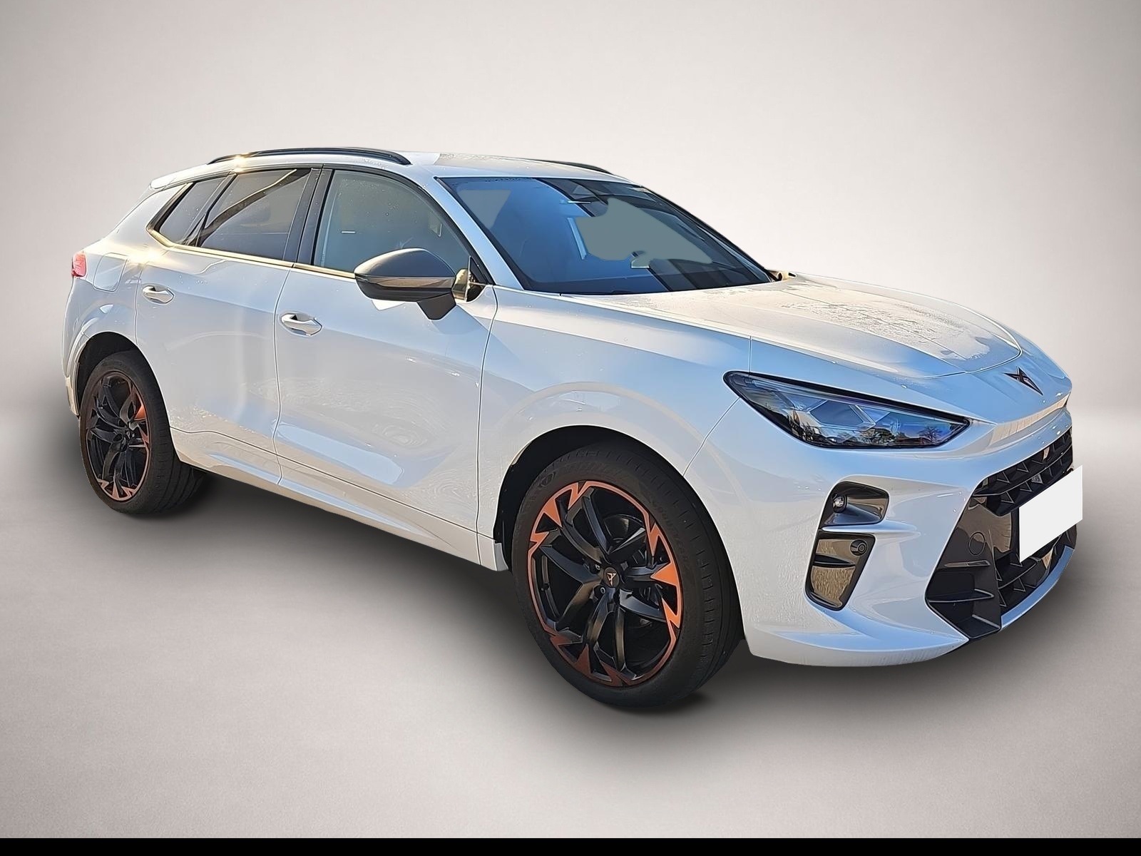 Bild Terramar Cupra