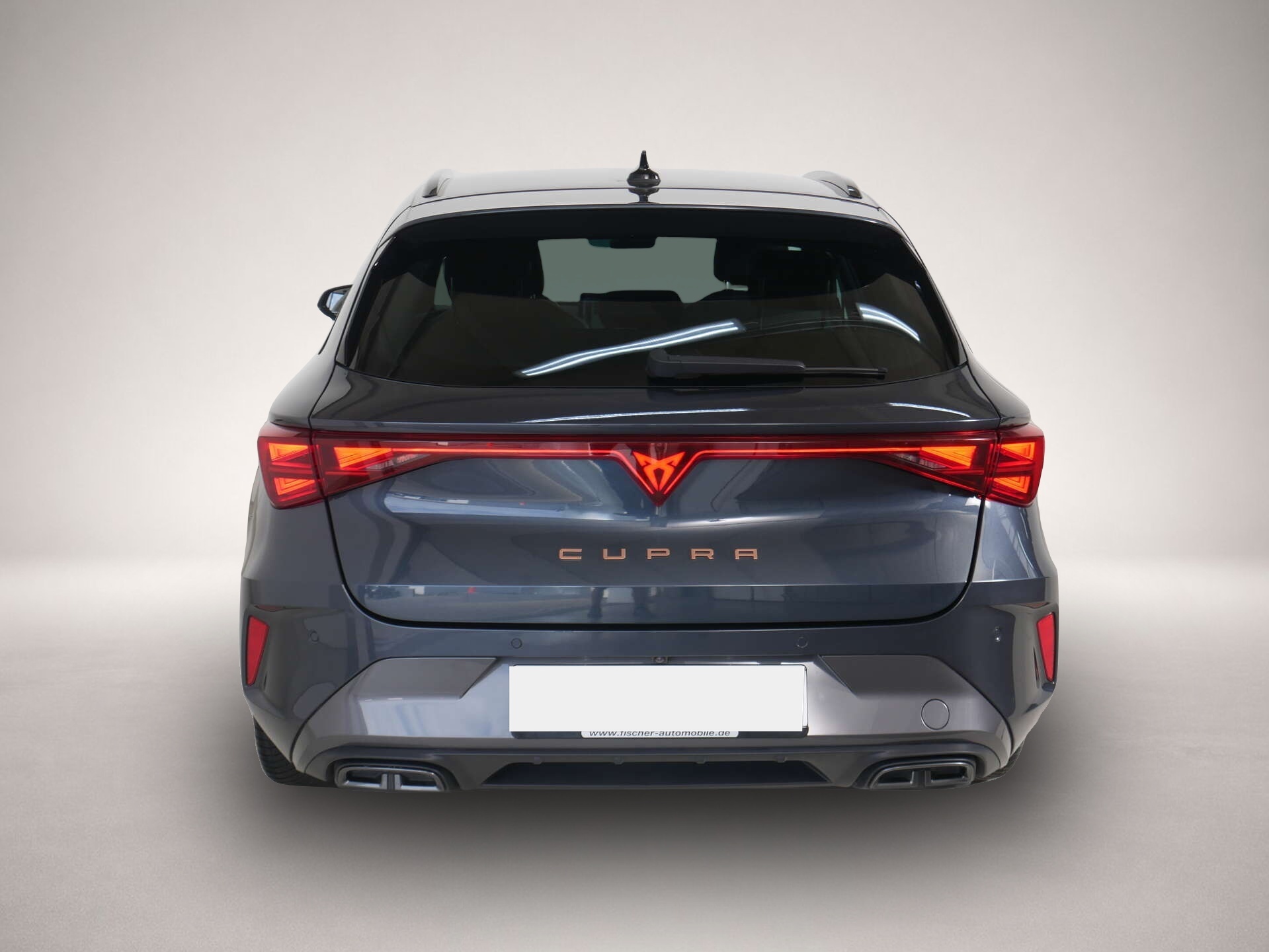 Bild 4 Cupra Leon Sportstourer 2.0 TDI