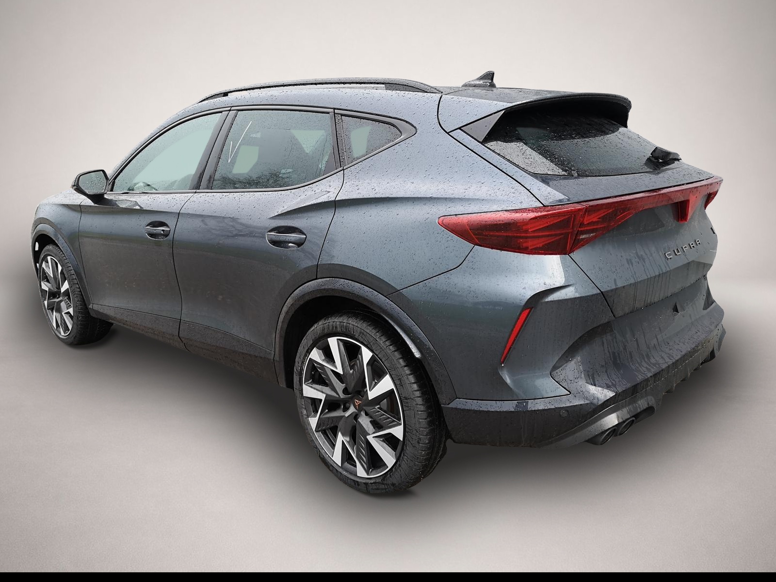 Fotografie 2 des Cupra Formentor 2.0TSI DSG 4Drive AHK