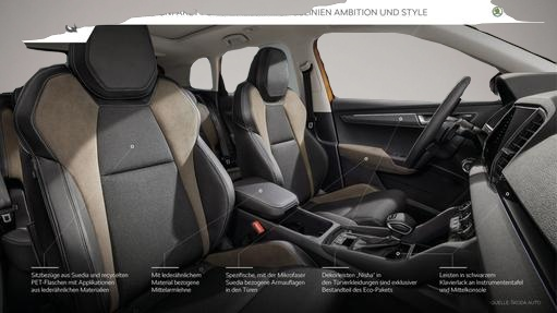 Fotografie Skoda Karoq Executive 2.0 TDI 110 kW DSG 4x4 Klimaautomatik.