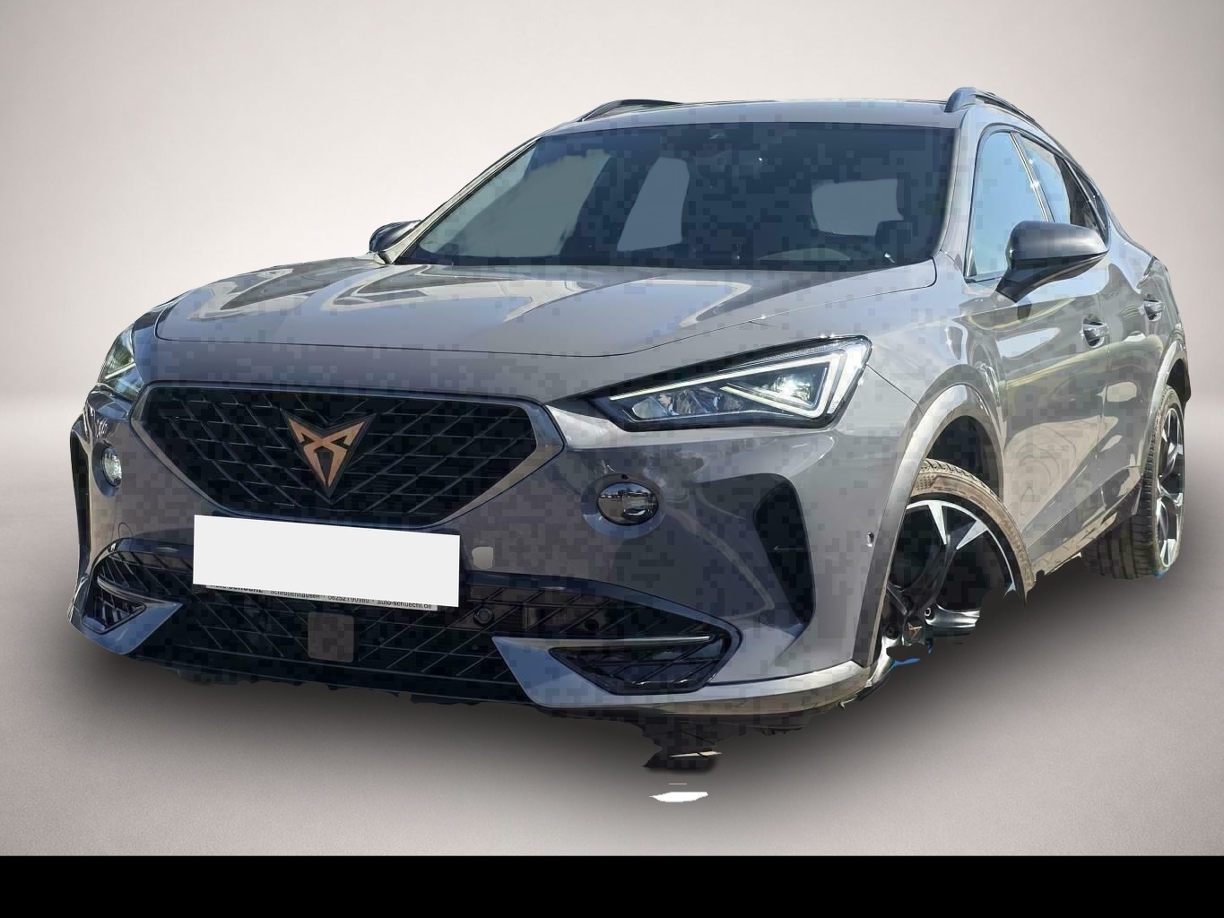 Fotografie 1 des Cupra Formentor 1.5 TSI DSG NAVI+LED+AHK +19"+KAMERA+P