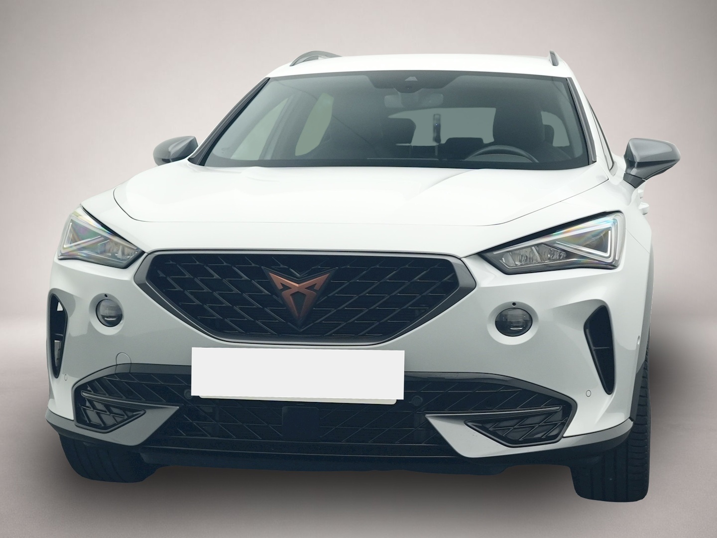 Fotografie 8 des Cupra Formentor 1.5 TSI DSG NAVI KAMERA LED ACC