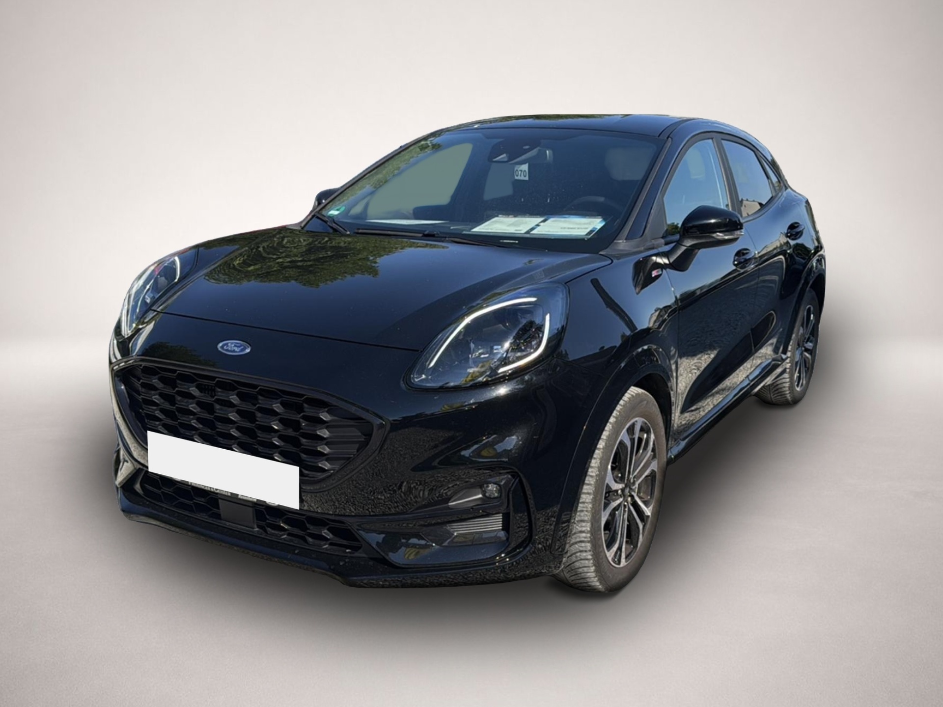 Bild Puma Ford