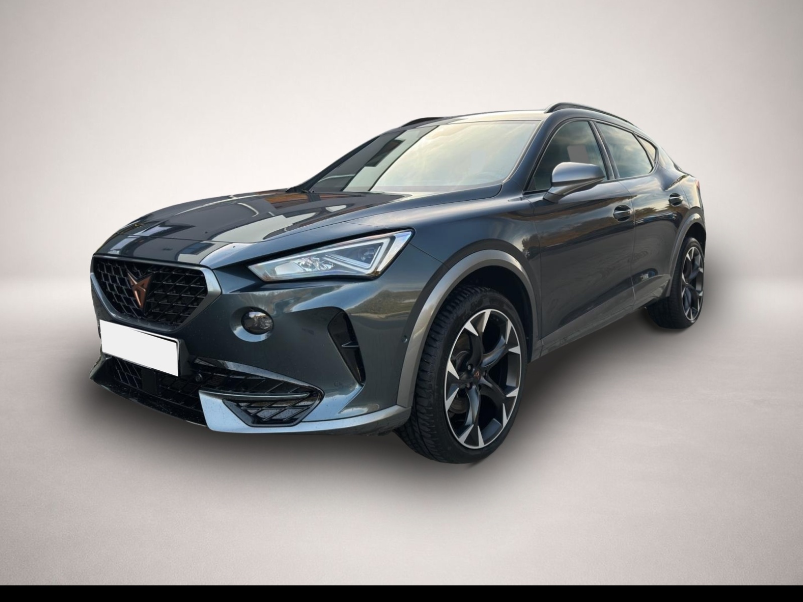 Fotografie Cupra Formentor 2.0 TSI DSG 4Dr AB260EUR KAMERA NAVI A