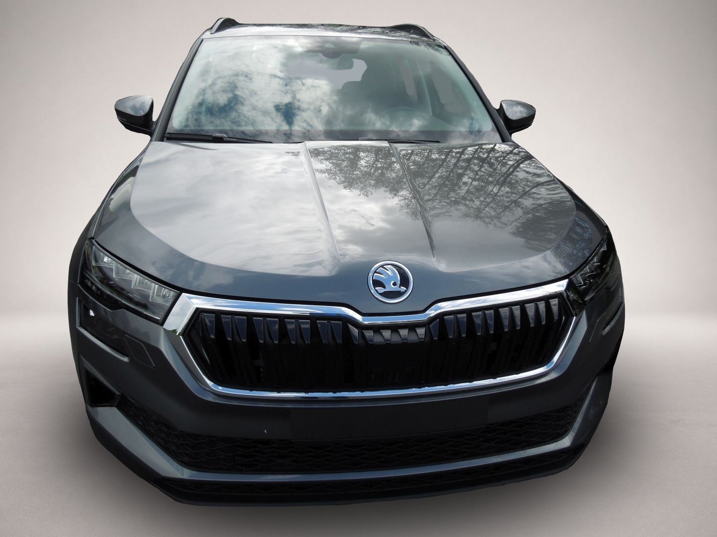 Fotografie 2 des Skoda Karoq 2.0 TDI Selection/LED/AHK/Navi/Sitzheizung