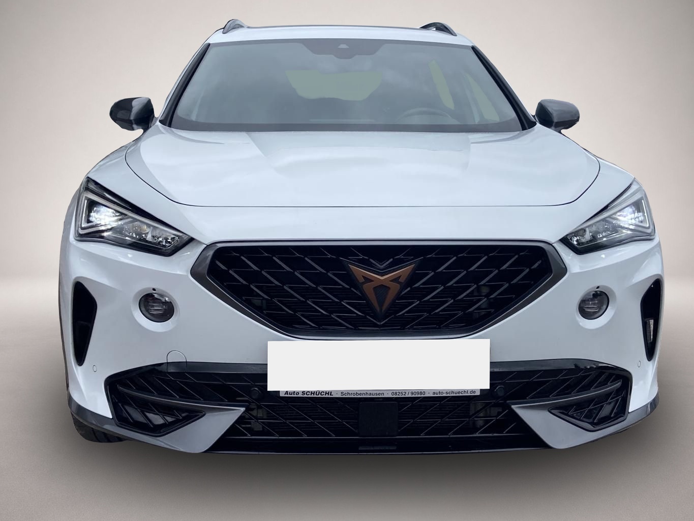 Bild 7 Cupra Formentor 2.0 TSI DSG 4-DRIVE STANDHEIZUNG+PANOR
