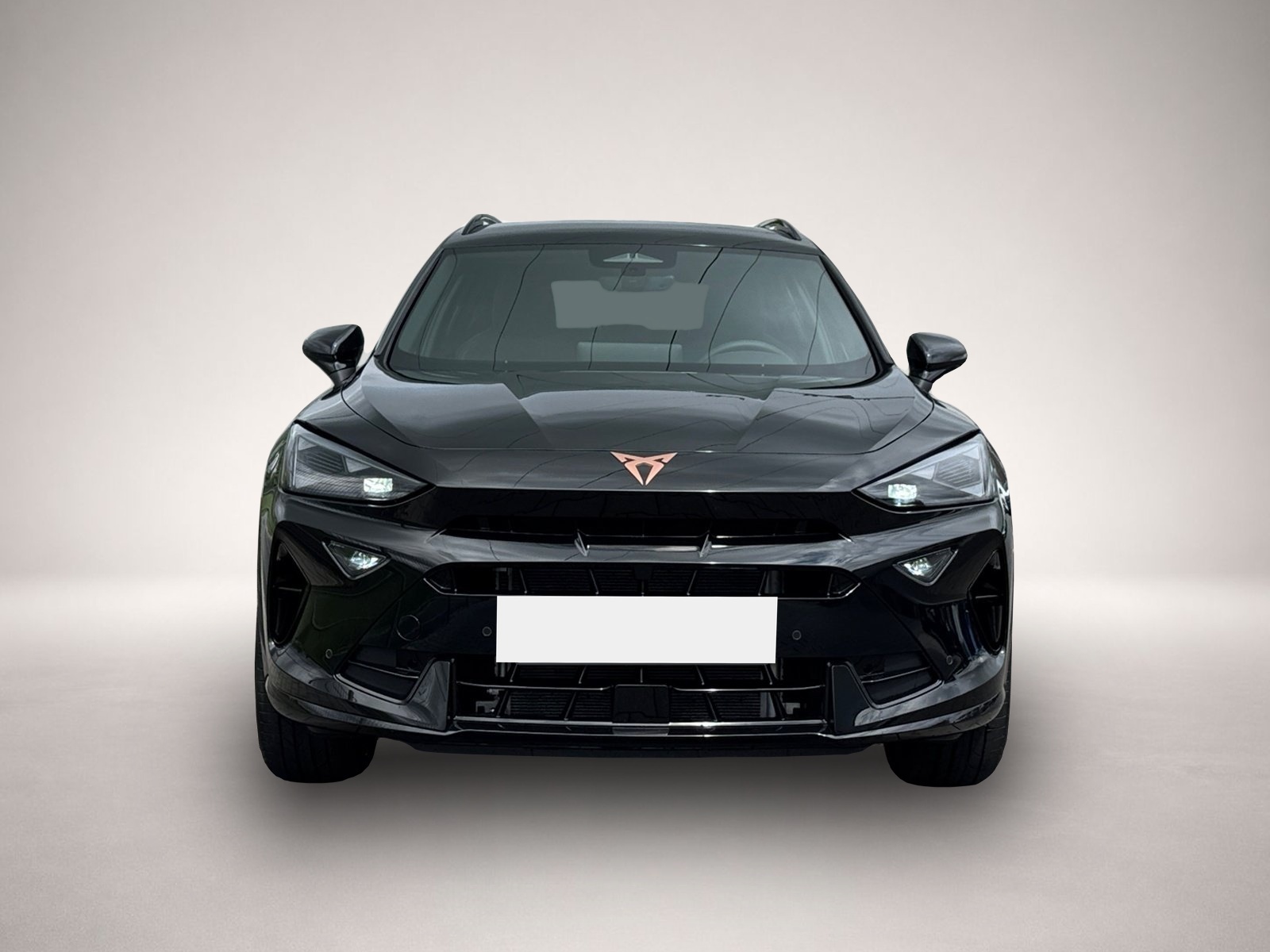 Bild 2 Cupra Formentor TDI DSG|5-J-GARANTIE|AHK|EDGE-P|19