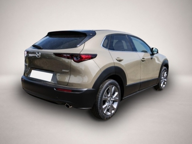 Bild 2 Mazda CX-30 Exclusive-line 2.5L e-SKYACTIV G 140PS 6AT