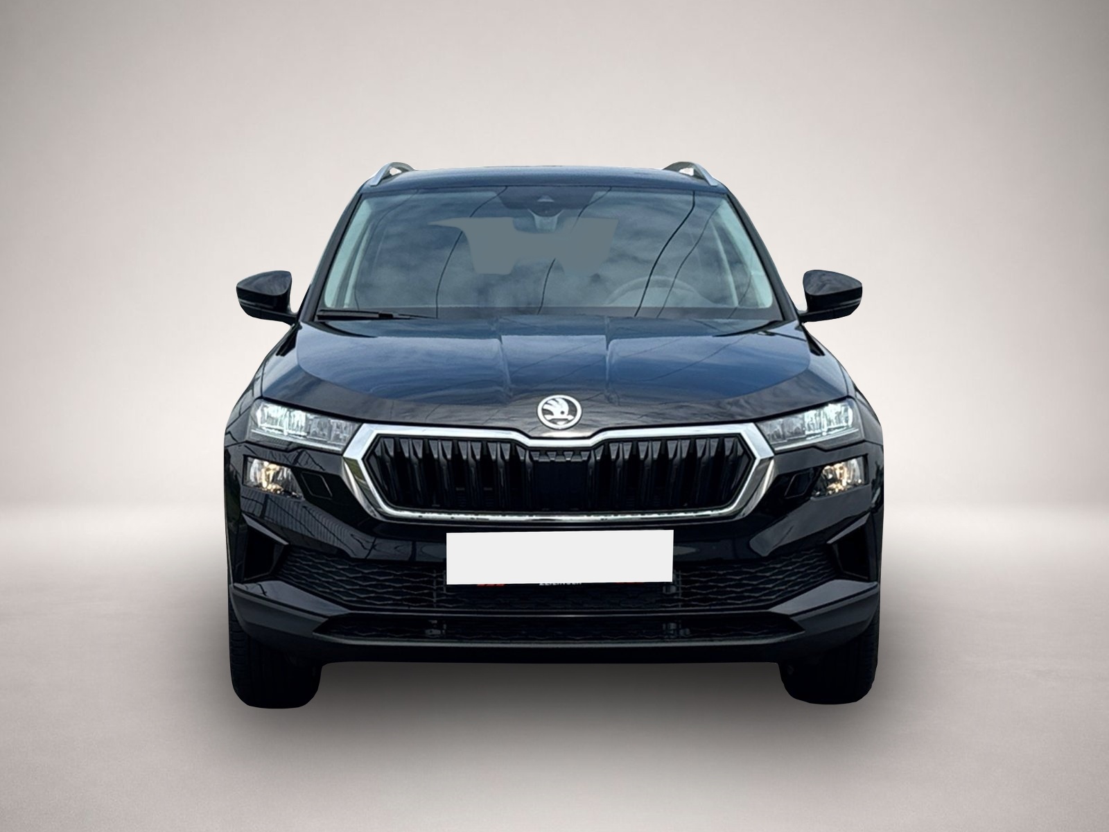 Bild 2 Skoda Karoq Selection TDI DSG|AHK|SHZ|ACC|PDC