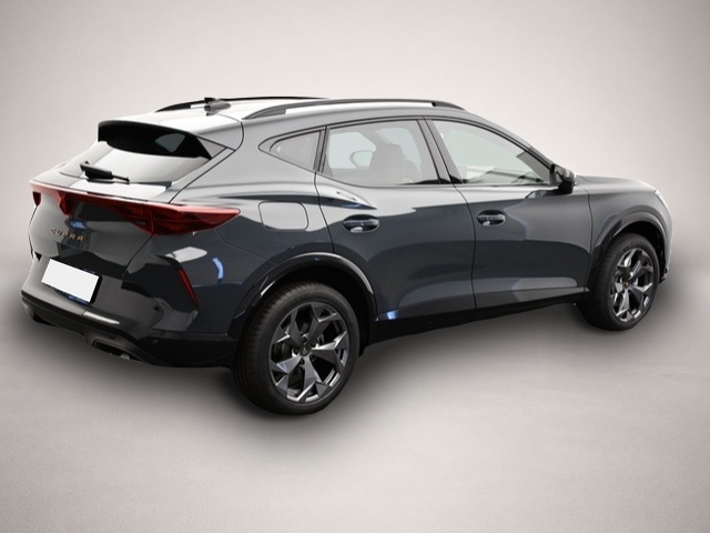 Fotografie des Cupra Formentor 1.5 eTSI DSG