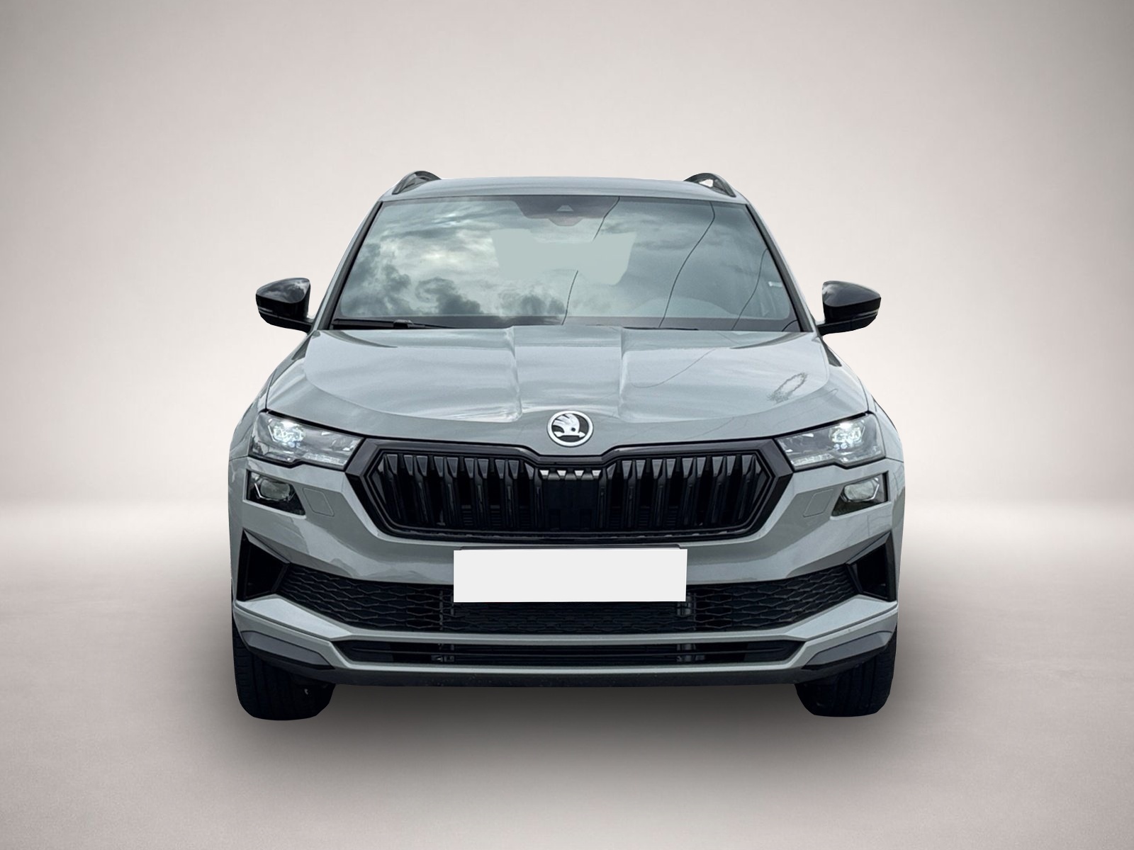 Bild 2 Skoda Karoq Sportline TDI DSG|AHK|SHZ|ACC|PDC