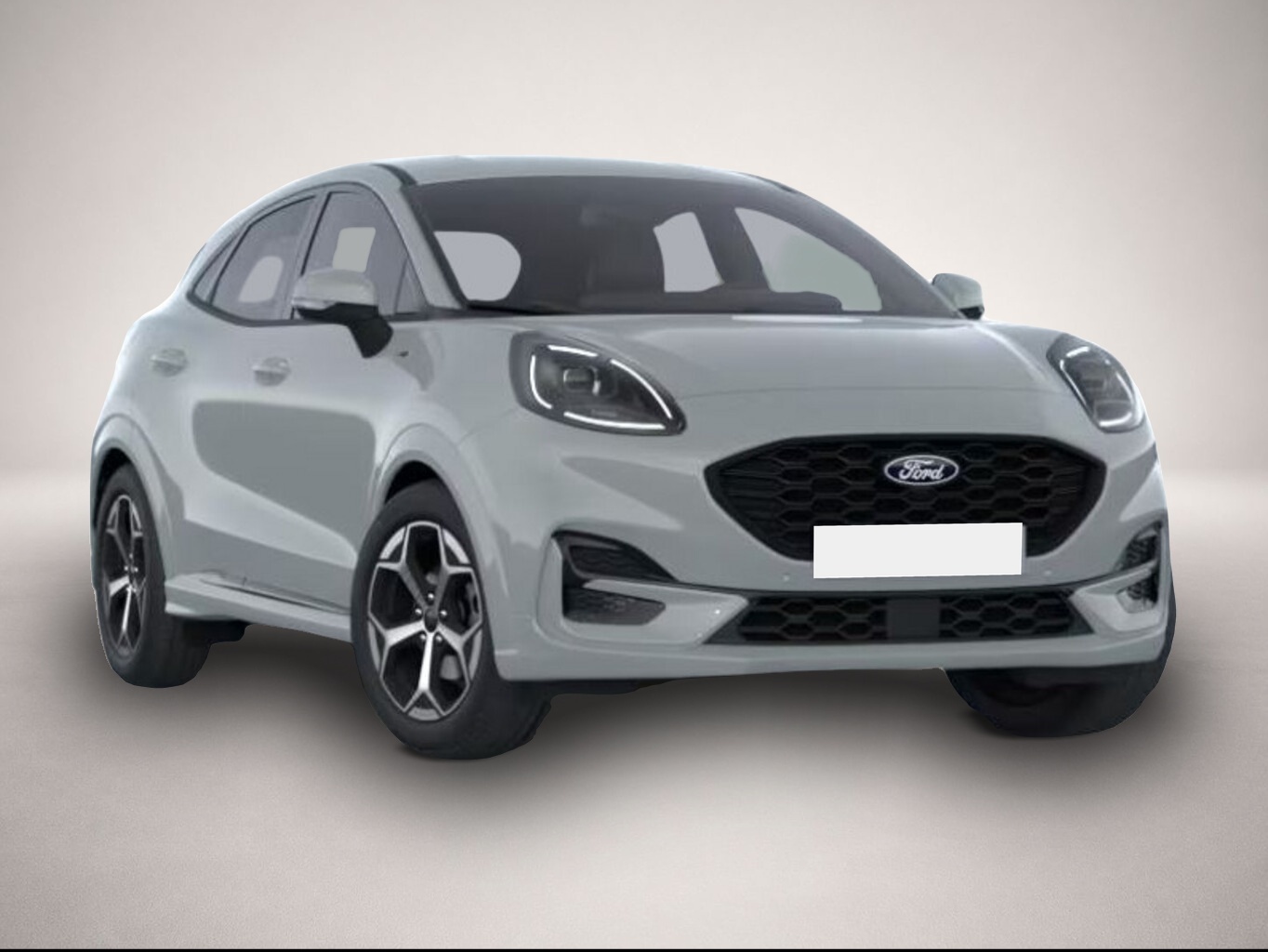 Bild Puma Ford