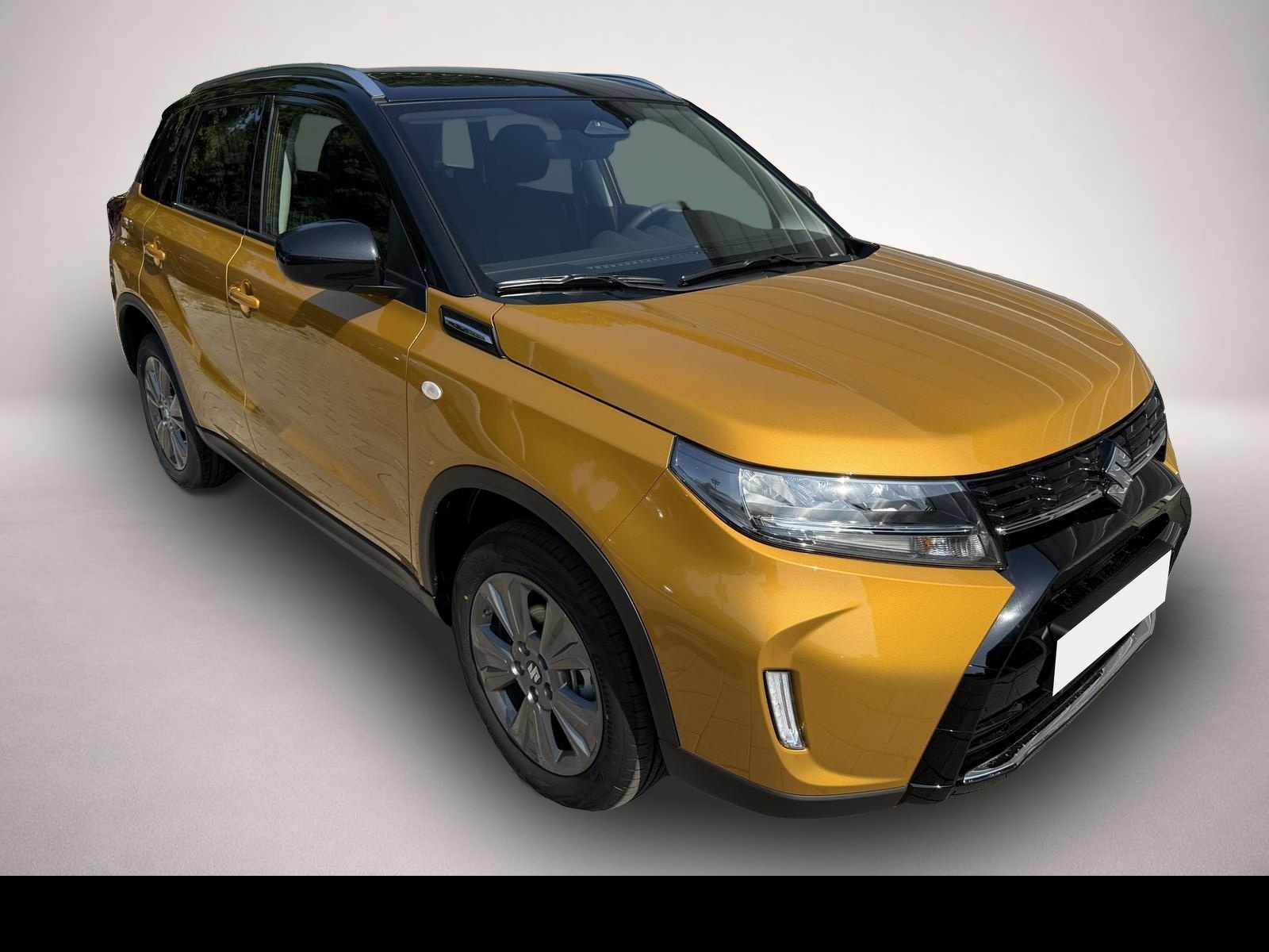 Bild Vitara Suzuki