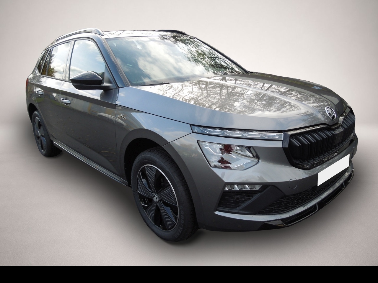 Bild Kamiq Skoda