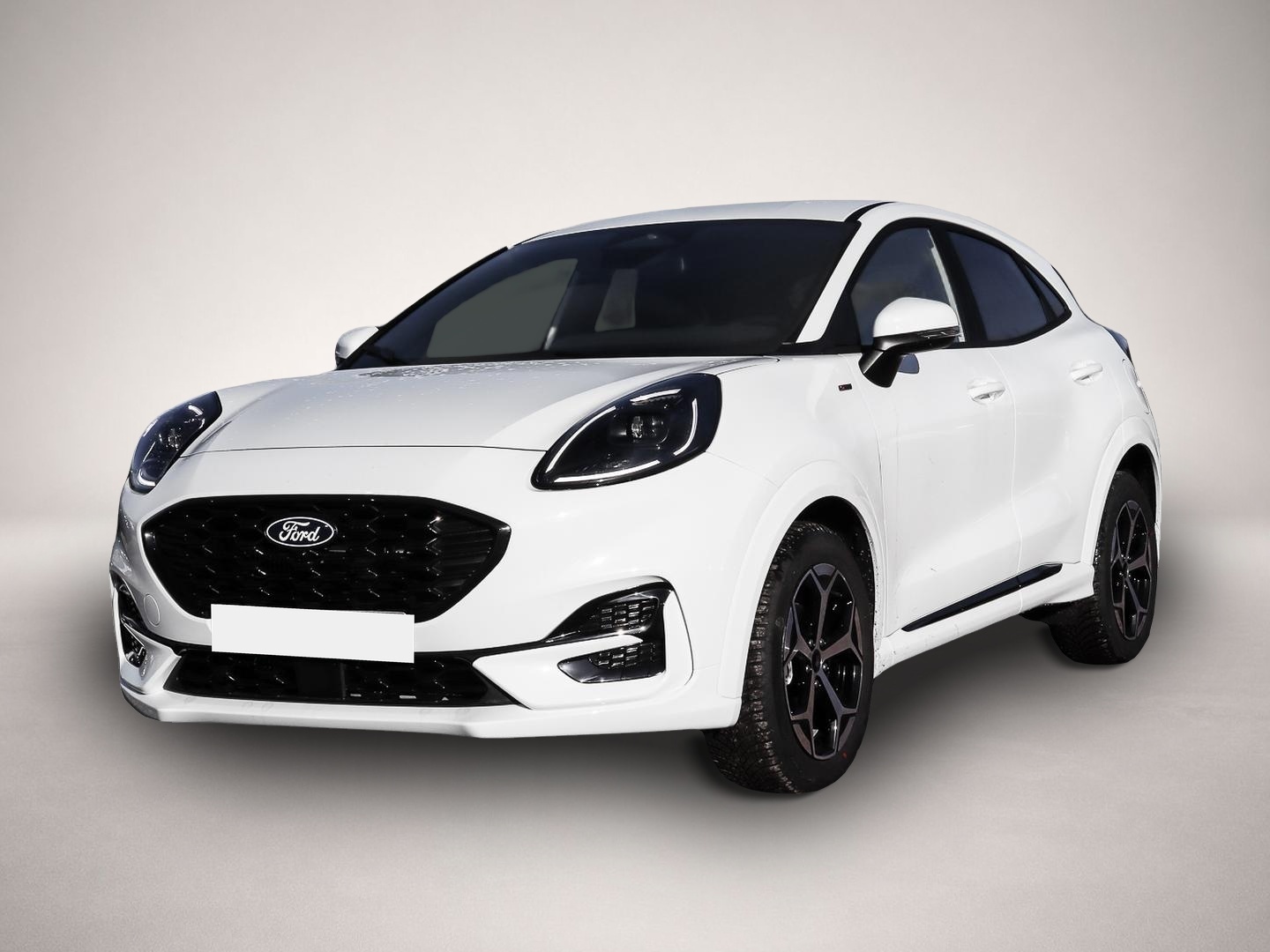Bild Puma Ford