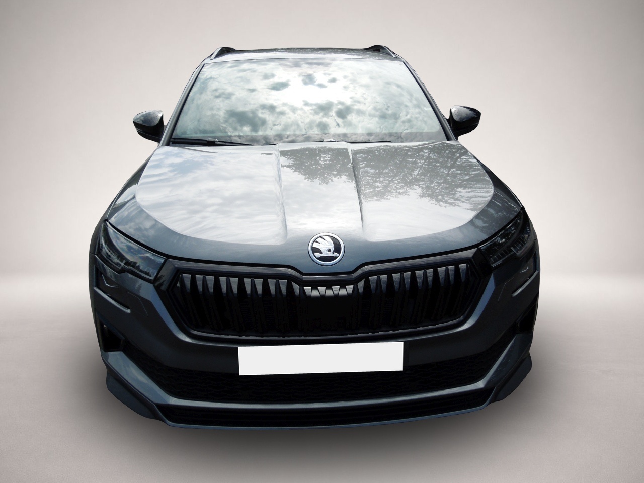 Fotografie 2 des Skoda Karoq 1.5 TSI Sportline/Matrix/AHK/Navi/Kamera