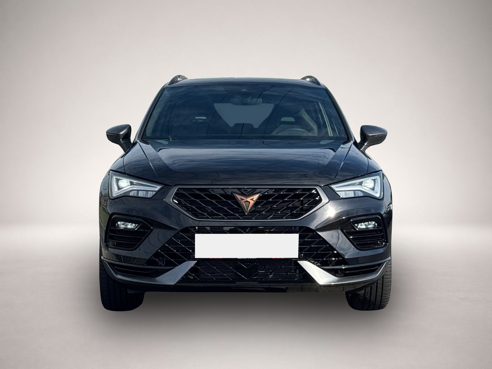 Bild 2 Cupra Ateca VZ 4Drive TSI DSG|AHK|PANO|360°|el.HECK