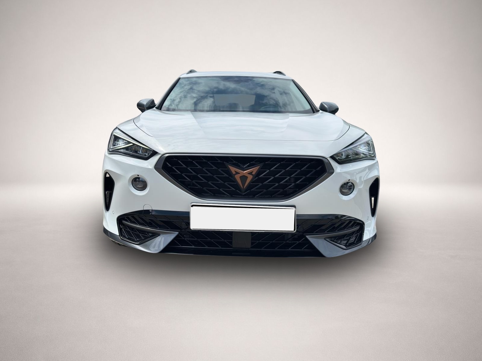 Bild 2 Cupra Formentor 1.5 TSI DSG AHK KAMERA LED NAVI SHZ