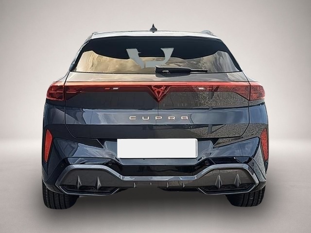Bild 5 Cupra Terramar 2.0 TSI 195 kW 4Drive VZ Terramar VZ 2.0 TSI DS.