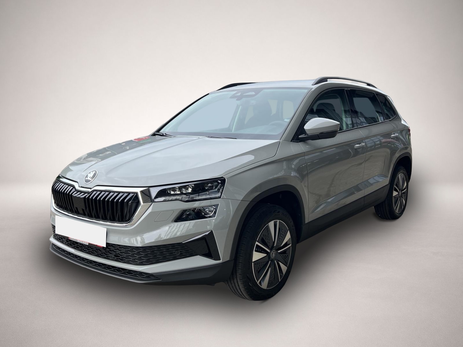 Bild Karoq Skoda