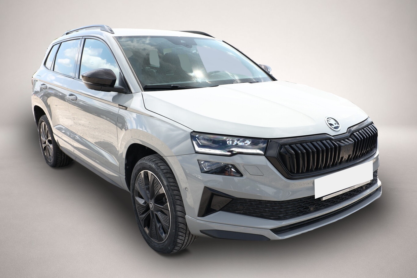 Bild 2 Skoda Karoq DSG Sportl Matrix Nav 360 Canton ACC Kessy