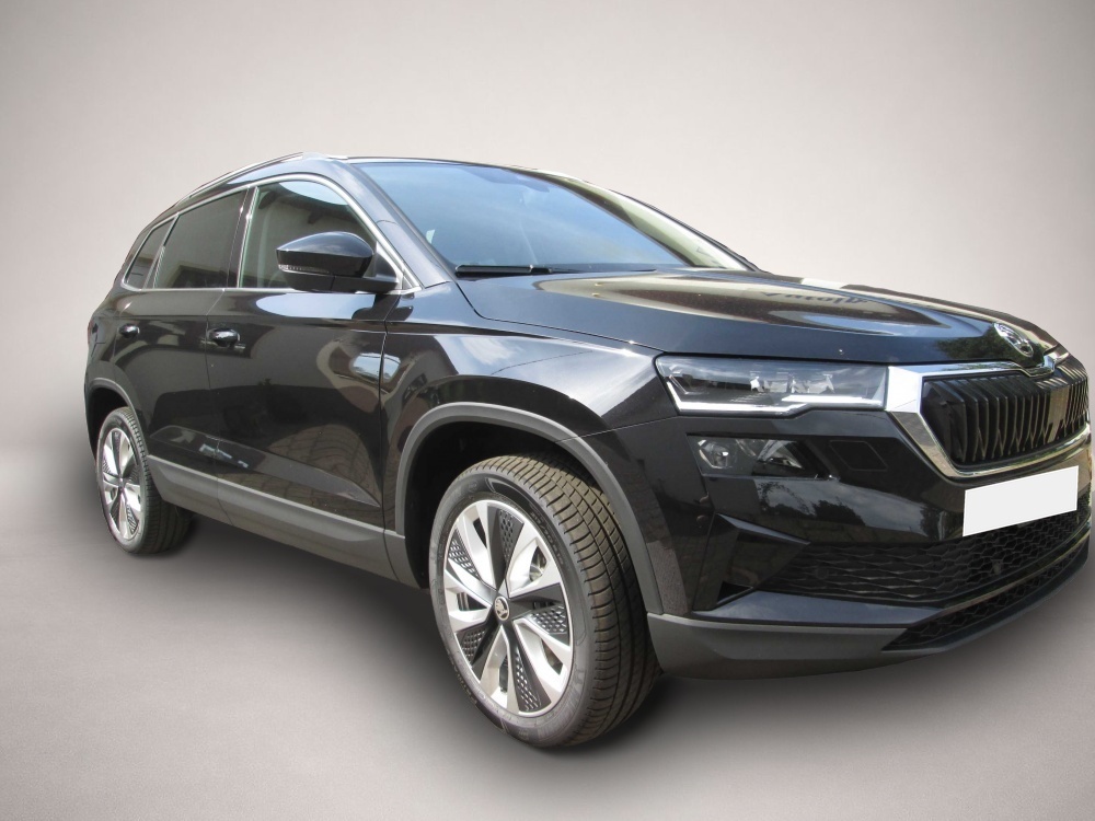 Bild Karoq Skoda